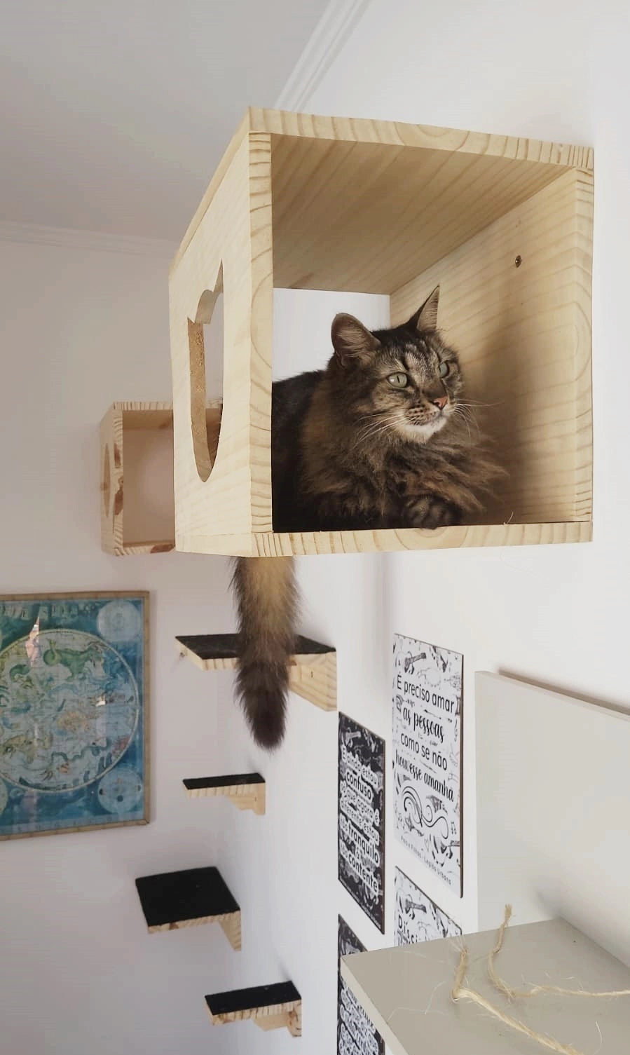 Playground para Gatos Bola de Neve com Nichos e Cama Suspensa 6 Peças