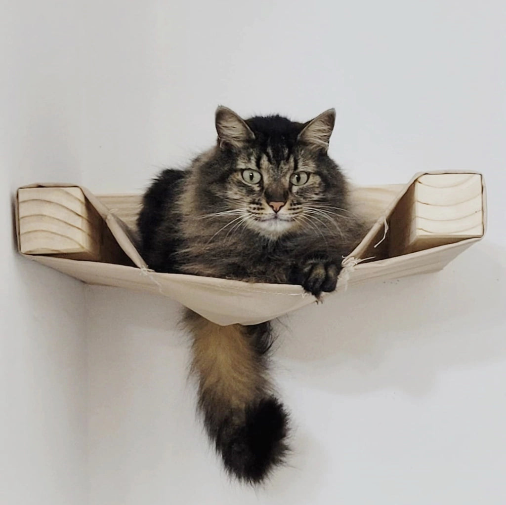 Playground para Gatos Bola de Neve com Nichos e Cama Suspensa 6 Peças