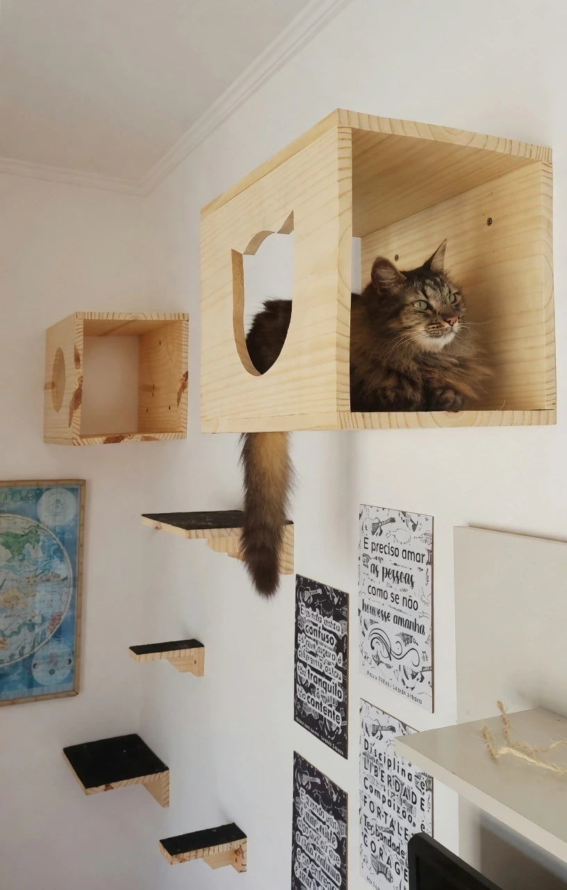 Playground para Gatos Bola de Neve com Nichos e Cama Suspensa 6 Peças