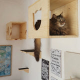 Playground para Gatos Bola de Neve com Nichos e Cama Suspensa 6 Peças